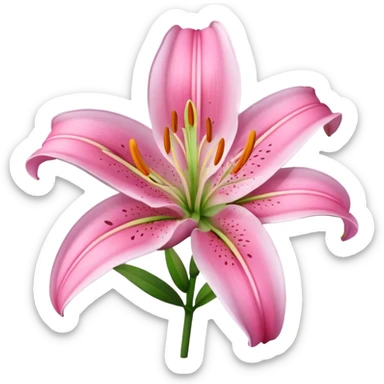 Pink Lily flower sticker