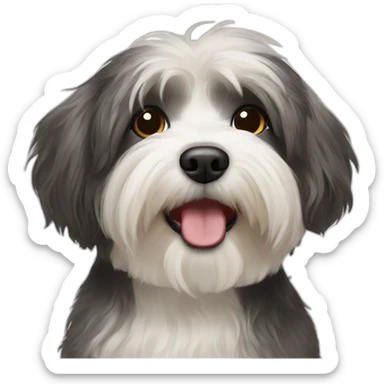Havanese sticker