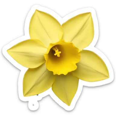 daffodil flower  sticker