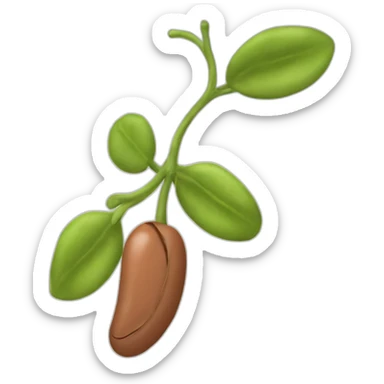 a pinto bean sticker