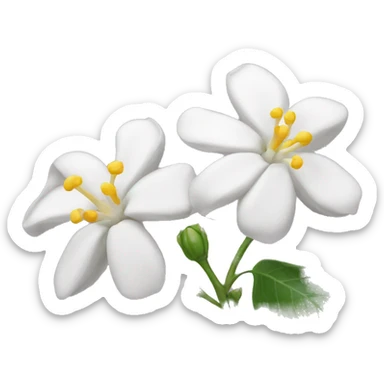 Jasmin flower tunisia  sticker