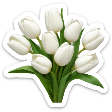 White tulips sticker