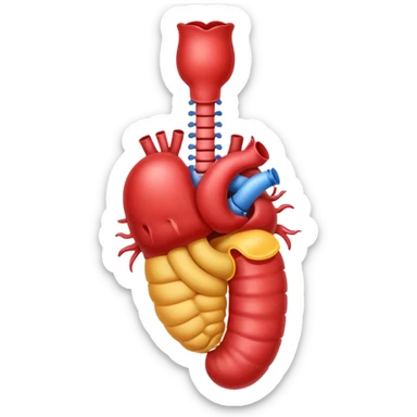 an emoji style image of the intestinal system (starting with the esophagus and ending with the rectum) like in an anatomy book but with bleeding from the rectum. sticker