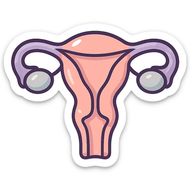 female uterus front view, icon-color-outlined style, detailed shadows and highlights, thin clean contours, soft rounded shapes, pastel palette #98B5BC, #B5B3C1, #C9A3C9, #E4C0CA, #F7DCD1, #F7C0AA, modern Japanese pop art and sticker aesthetic, soft lighting, transparent background sticker