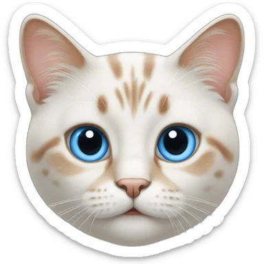 cat whit blue eyes sticker