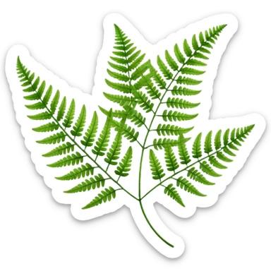 Fern sticker