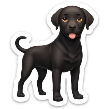Black adult Labrador sticker