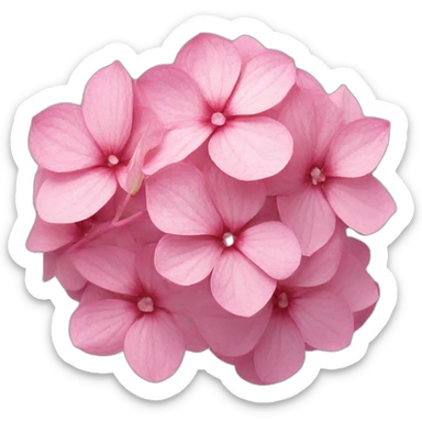 Pink hydrangea flower sticker