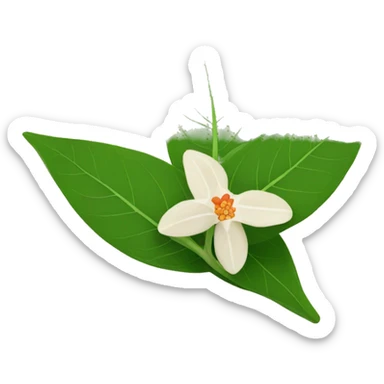 ashwagandha leaf and flower sticker