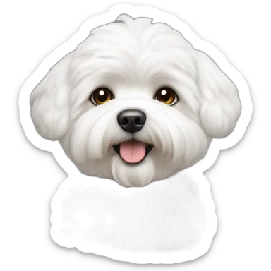 Bichon maltais sticker