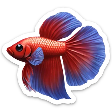 Betta fish sticker