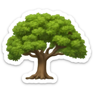 live oak sticker