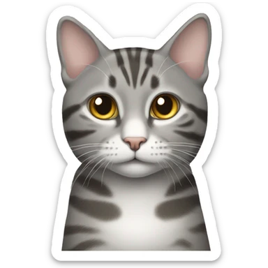 grey tabby cat with white stripe on right eye sticker