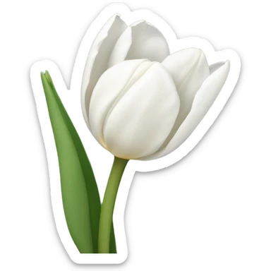 White tulips  sticker