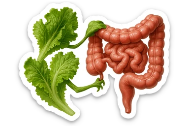 foglie di insalata che attaccano un intestino anatomico umano per distruggerlo, iperrealistico sticker