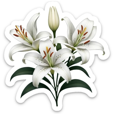 black and white lillies outline sticker