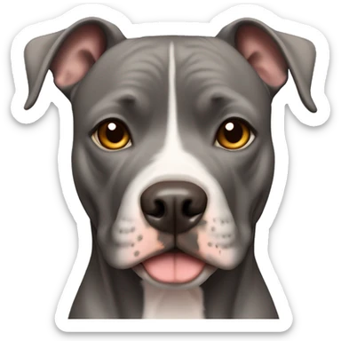 Black american pitbull terrier with light brown eyes sticker