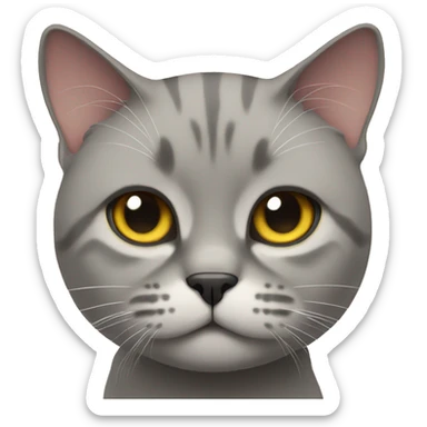 British cat ask for food sticker