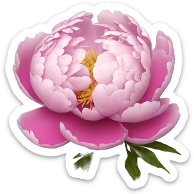 Peony sticker