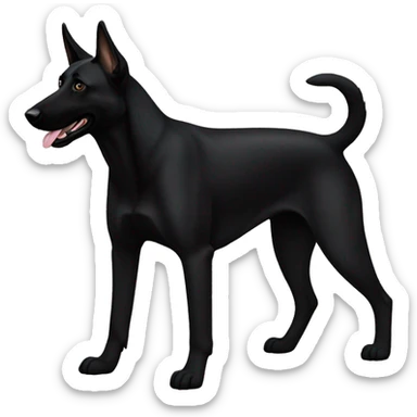 Black belgian malinois sticker