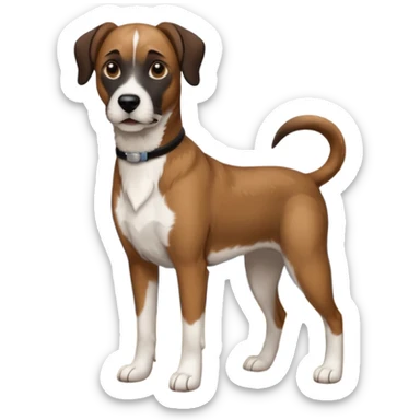 Mountain cur dog with white face black nose and brown ears sticker