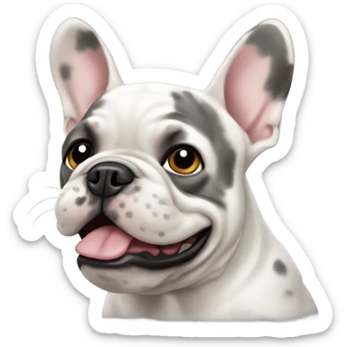 Merle French Bulldog sticker