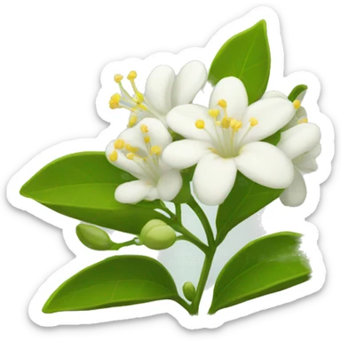 Night Jasmine flower sticker