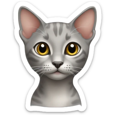Oriental short hair cat grey sticker