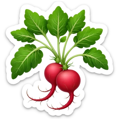 radish plant sticker