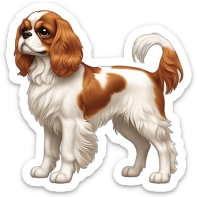 dog Cavalier King Charles Spaniel full body sticker