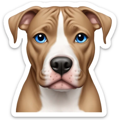 light brown pitbull with heterochromia blue eye sticker