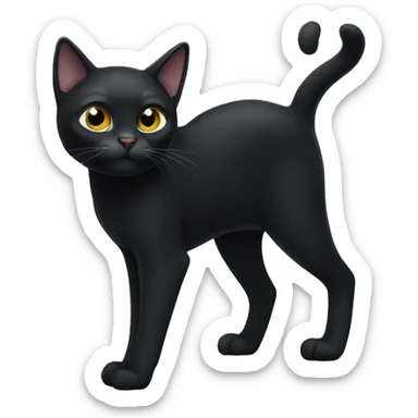 Black cat standing, the cat has white paws and white chest sticker