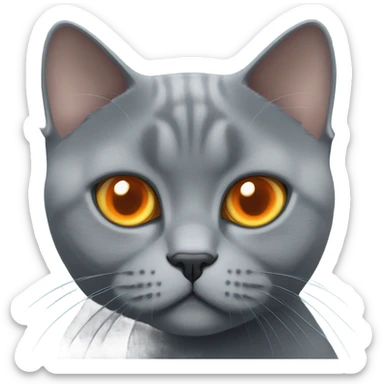 blue british shorthair cat with orange eyes sticker