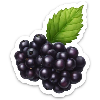 black berry fruit sticker