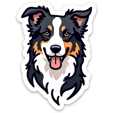 Border collie dog with only one black ear sticker