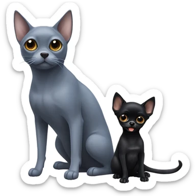 big russian blue cat and two small black chihuahuas sticker