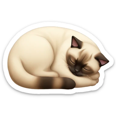 Fat siamese cat sleeping sticker