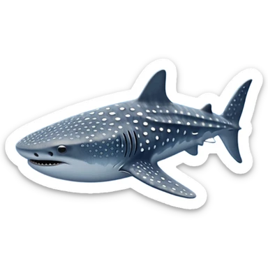 Whale shark sticker