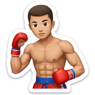 Lutador de Muay Thai  sticker