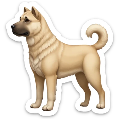 kangal cinsi köpek köy köpeği sticker