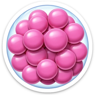 Chocolaterie Bubble gum sticker