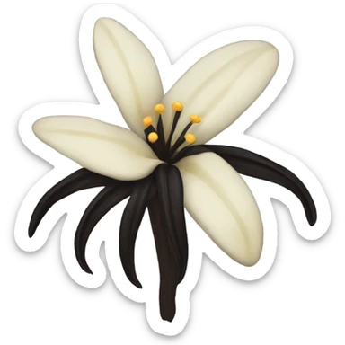 dark vanilla bean with flower sticker