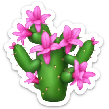 Christmas cactus with pink flowers sticker