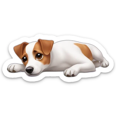 dog Jack Russell Terrier laying on her back sticker