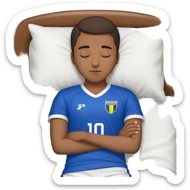 Pigeon, soccer sleeping  sticker