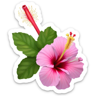 hibiscus flower sticker