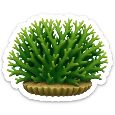 green Coral in sea sticker