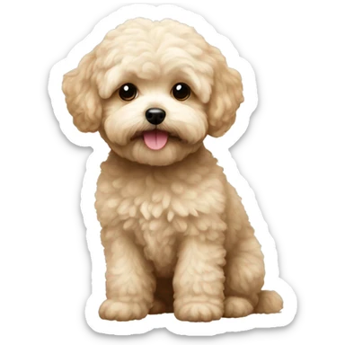 A maltipoo dog super cute sticker