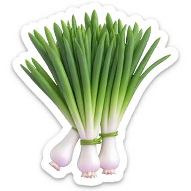 chopped green onions, clean, minimal, cute, well-lit, soft shadow, white background sticker