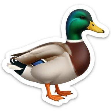 Domestic Duck sticker